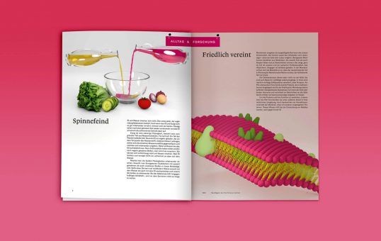 5232 Das Magazin des Paul Scherrer Instituts (PSI) / Design Infografik Alltag & Forschung: Wasser und Fett in Membranen, Daniela Leitner
